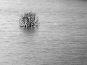 Potopljen__ Andrej Udovič